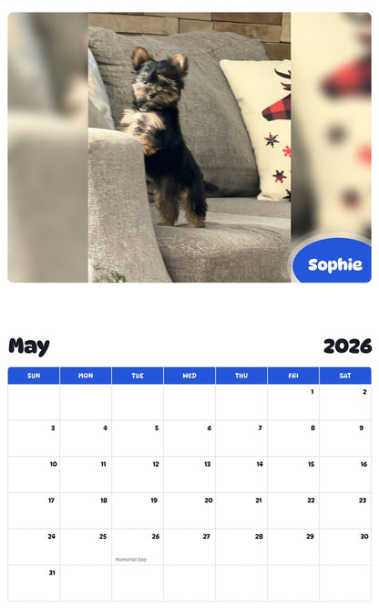 2026 - 2027 Sophie - Pawidols Pet Calendar