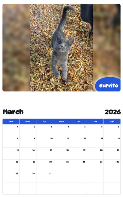 November 2025 - October 2026 Burrito - Pawidols Pet Calendar