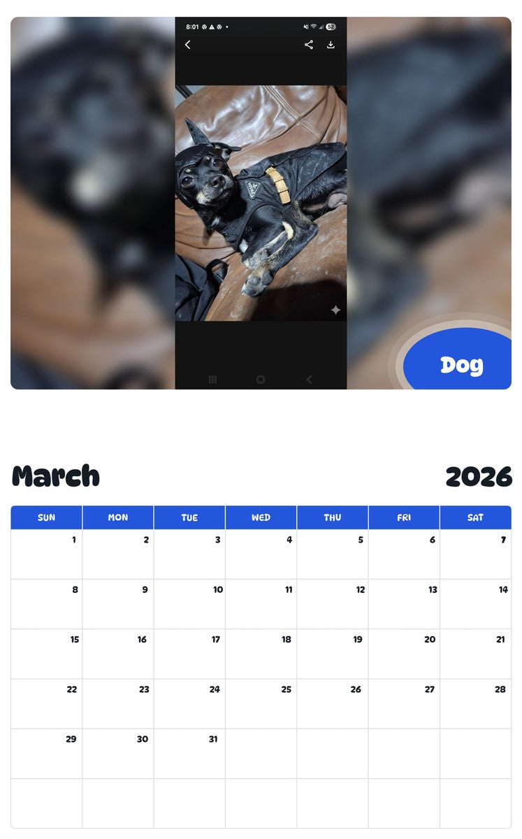 November 2025 - October 2026 Dog - Pawidols Pet Calendar