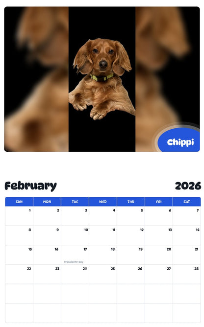 November 2025 - October 2026 Chippi - Pawidols Pet Calendar