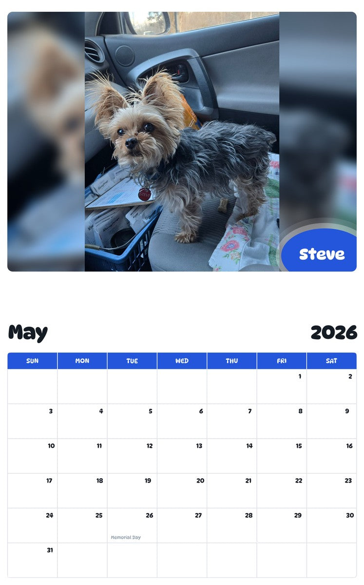 2026 - 2027 Steve - Pawidols Pet Calendar