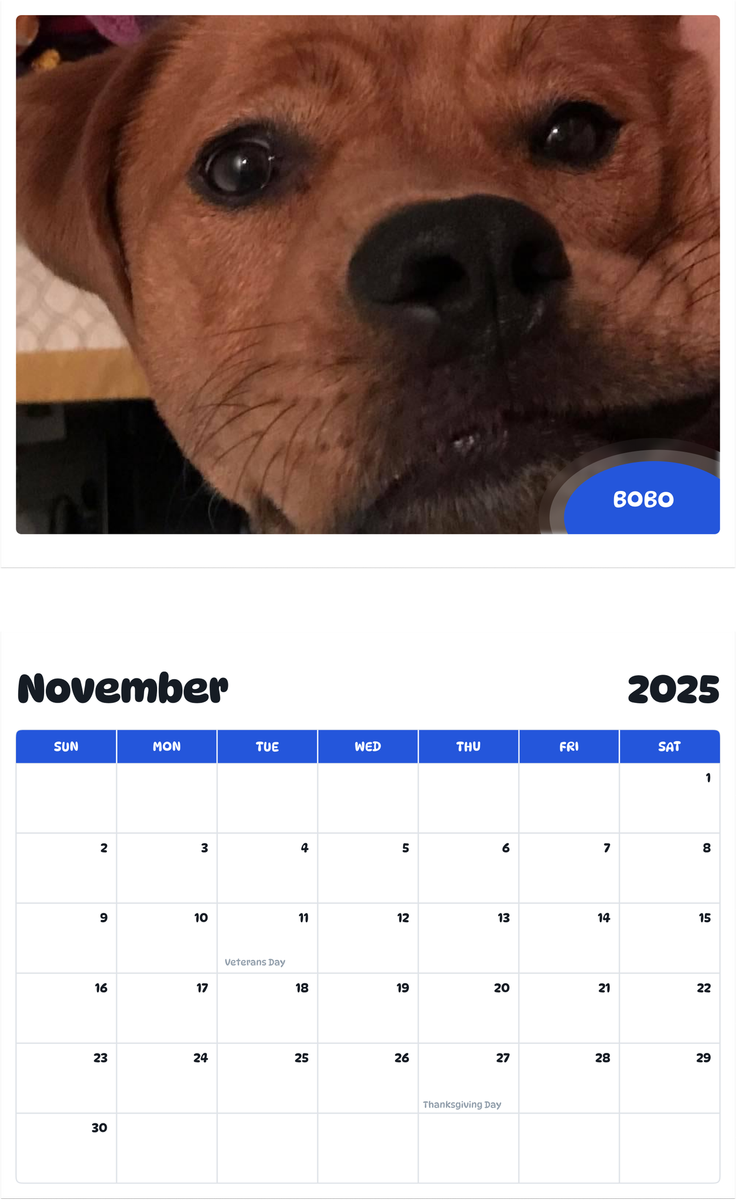 July 2025 - June 2026 Bobo - Pawidols Pet Calendar