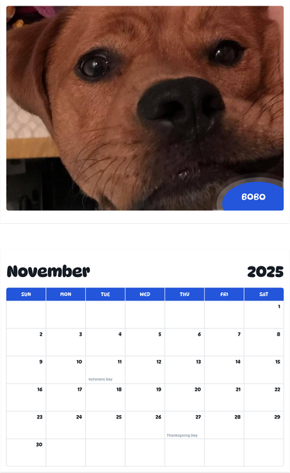 July 2025 - June 2026 Bobo - Pawidols Pet Calendar