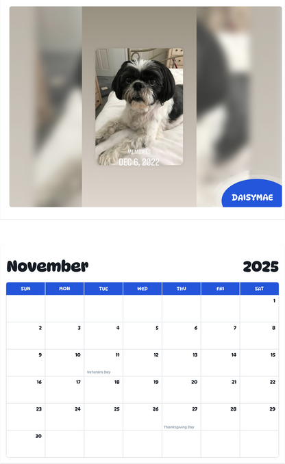 July 2025 - June 2026 Daisymae - Pawidols Pet Calendar