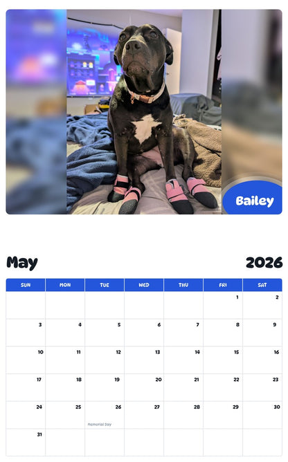 2026 - 2027 Bailey - Pawidols Pet Calendar