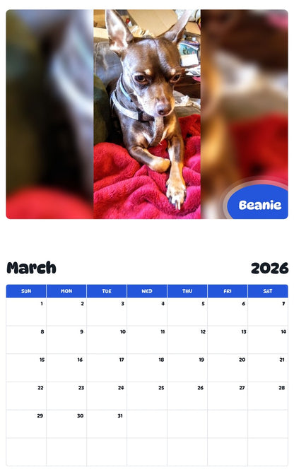 November 2025 - October 2026 Beanie - Pawidols Pet Calendar