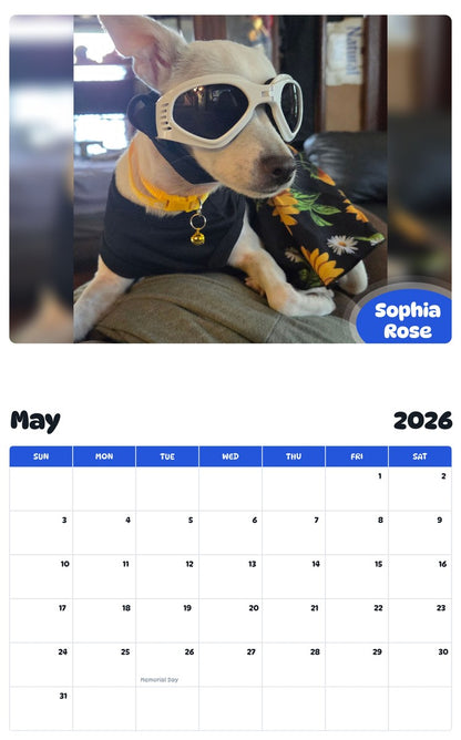 2026 - 2027 Sophia Rose - Pawidols Pet Calendar
