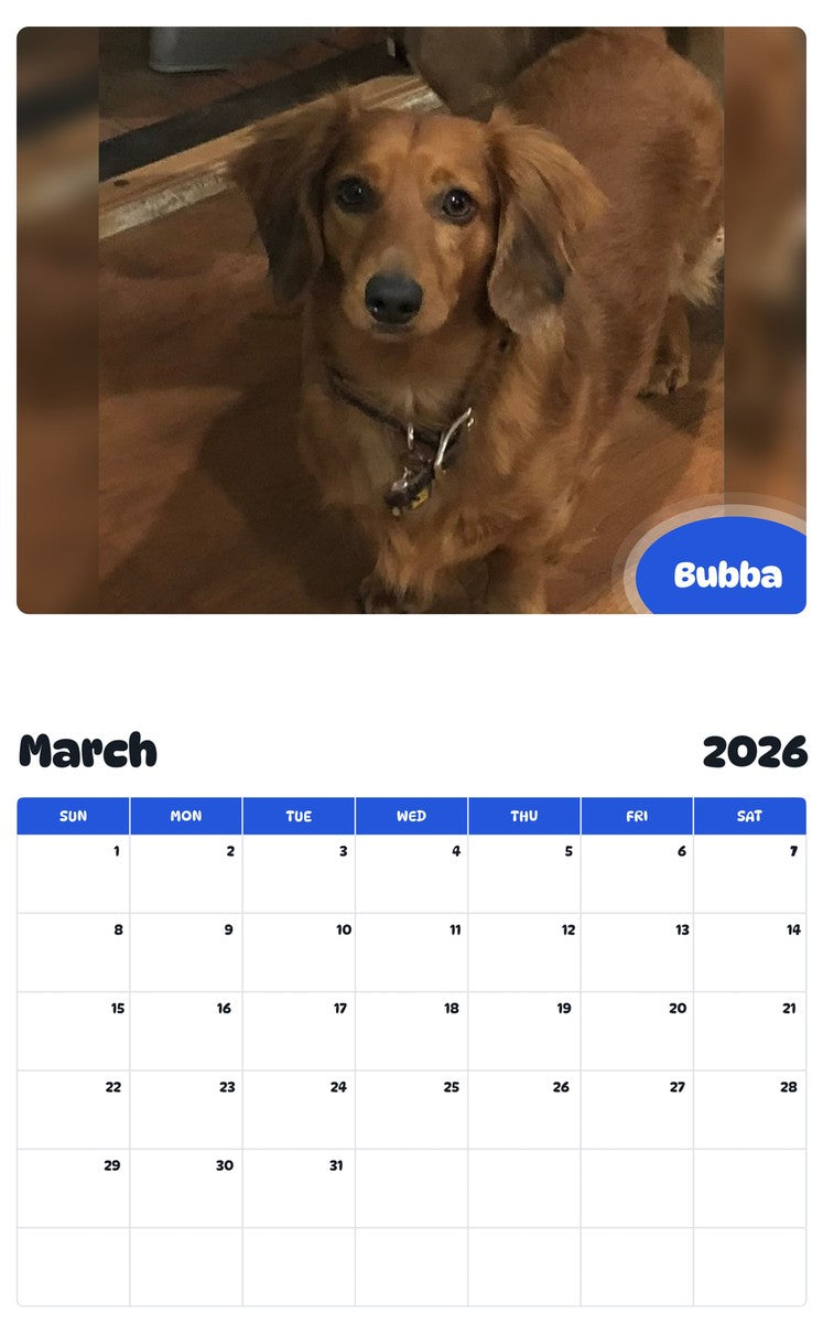 November 2025 - October 2026 Bubba - Pawidols Pet Calendar