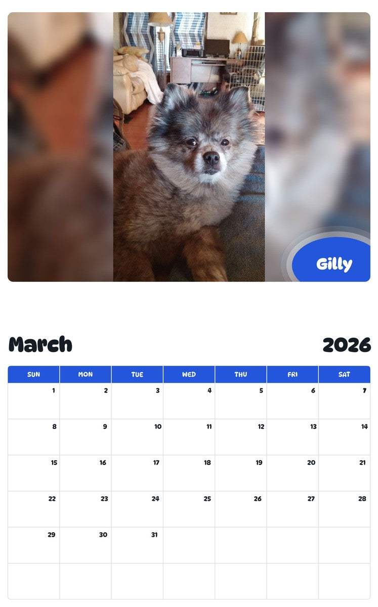 November 2025 - October 2026 Gilly - Pawidols Pet Calendar