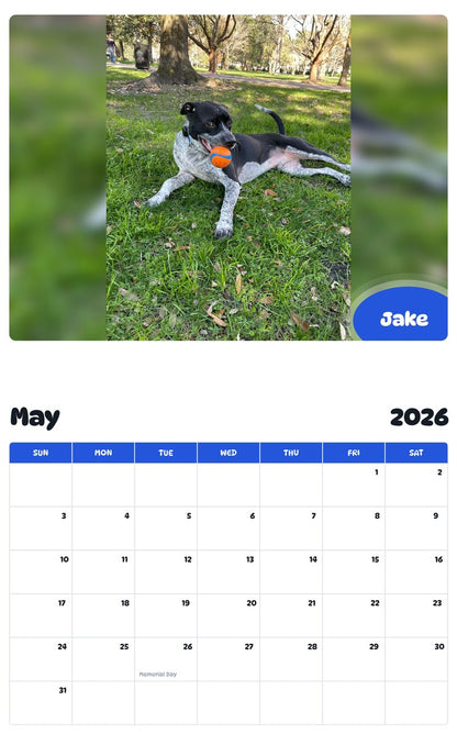 2026 - 2027 Jake - Pawidols Pet Calendar