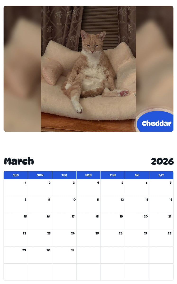 November 2025 - October 2026 Cheddar - Pawidols Pet Calendar