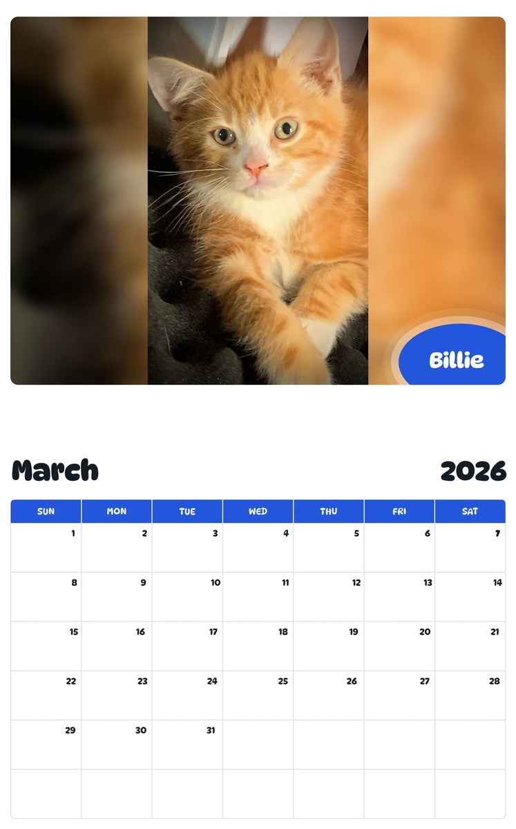 November 2025 - October 2026 Billie - Pawidols Pet Calendar