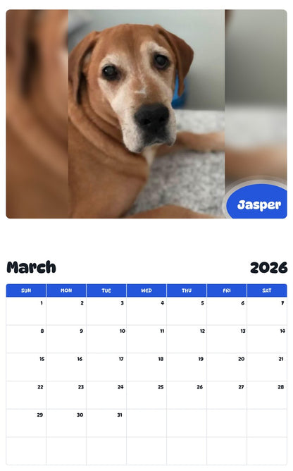 November 2025 - October 2026 Jasper - Pawidols Pet Calendar