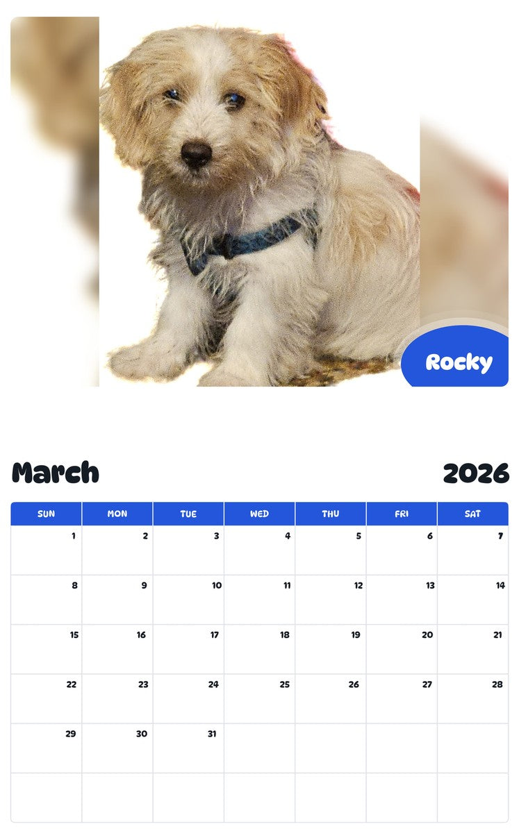November 2025 - October 2026 Rocky - Pawidols Pet Calendar