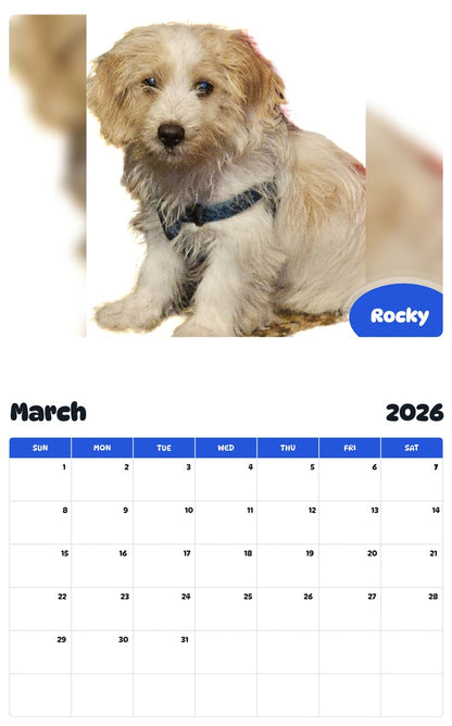 November 2025 - October 2026 Rocky - Pawidols Pet Calendar