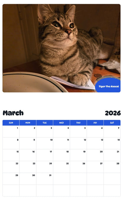 November 2025 - October 2026 Tiger The Rascal - Pawidols Pet Calendar