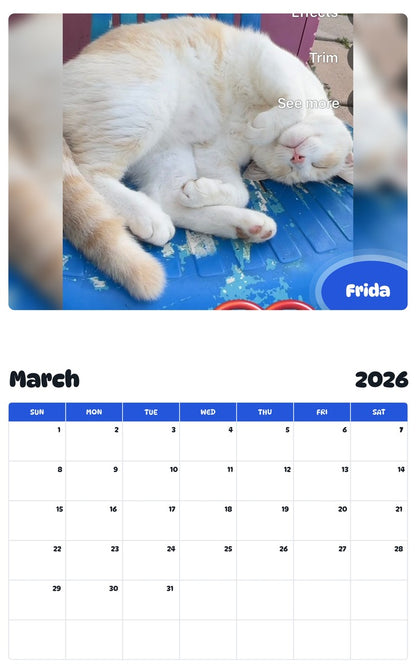 November 2025 - October 2026 Frida - Pawidols Pet Calendar