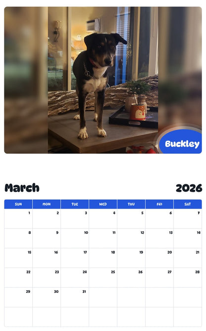 November 2025 - October 2026 Buckley - Pawidols Pet Calendar