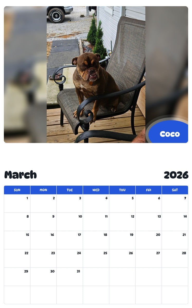 November 2025 - October 2026 Coco - Pawidols Pet Calendar