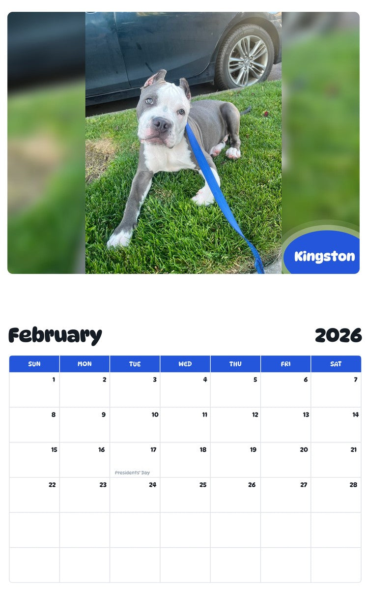 November 2025 - October 2026 Kingston - Pawidols Pet Calendar