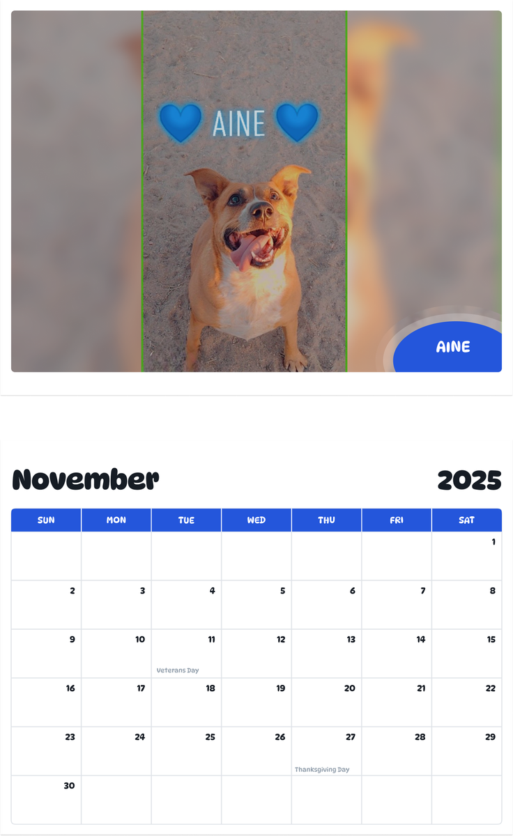 July 2025 - June 2026 Aine - Pawidols Pet Calendar