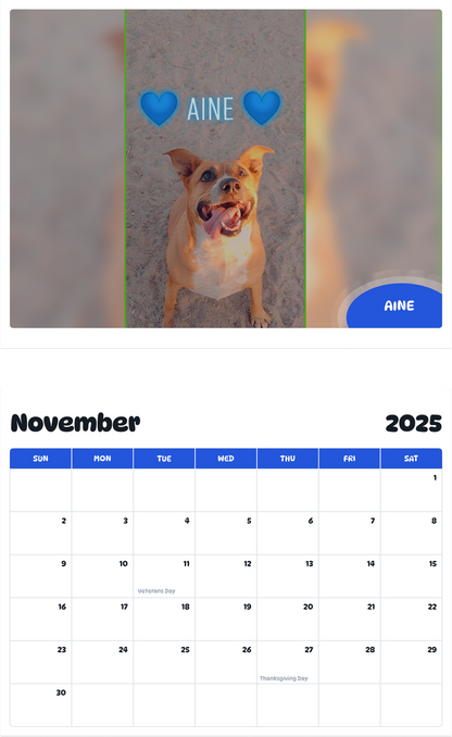July 2025 - June 2026 Aine - Pawidols Pet Calendar