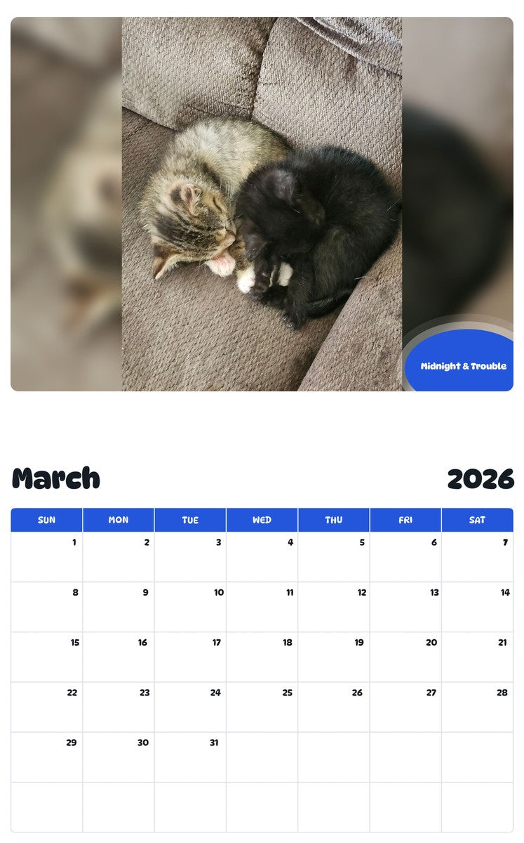 November 2025 - October 2026 Midnight & Trouble - Pawidols Pet Calendar