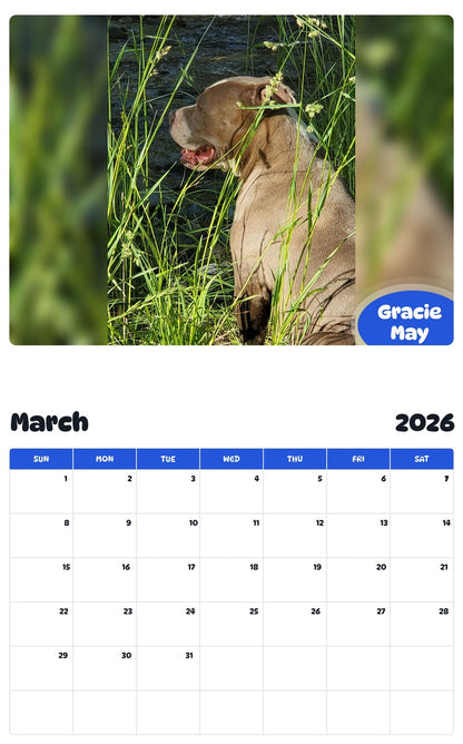 November 2025 - October 2026 Gracie May - Pawidols Pet Calendar