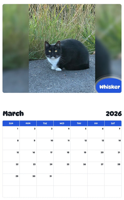 November 2025 - October 2026 Whisker - Pawidols Pet Calendar