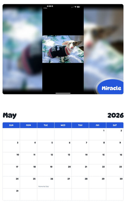 2026 - 2027 Miracle - Pawidols Pet Calendar