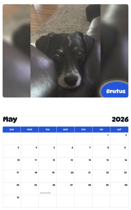 2026 - 2027 Brutus - Pawidols Pet Calendar