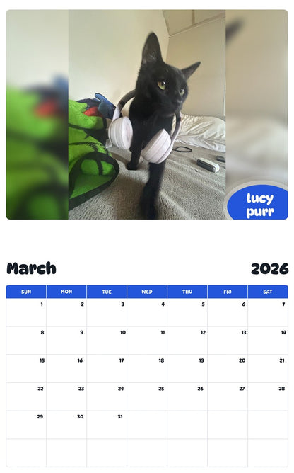November 2025 - October 2026 lucy purr - Pawidols Pet Calendar