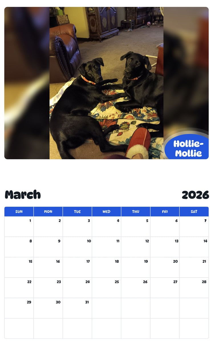 November 2025 - October 2026 Hollie- Mollie - Pawidols Pet Calendar
