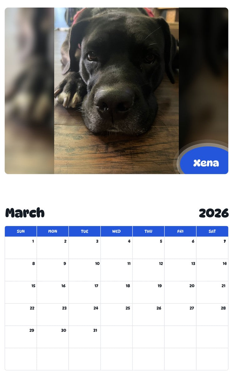 November 2025 - October 2026 Xena - Pawidols Pet Calendar
