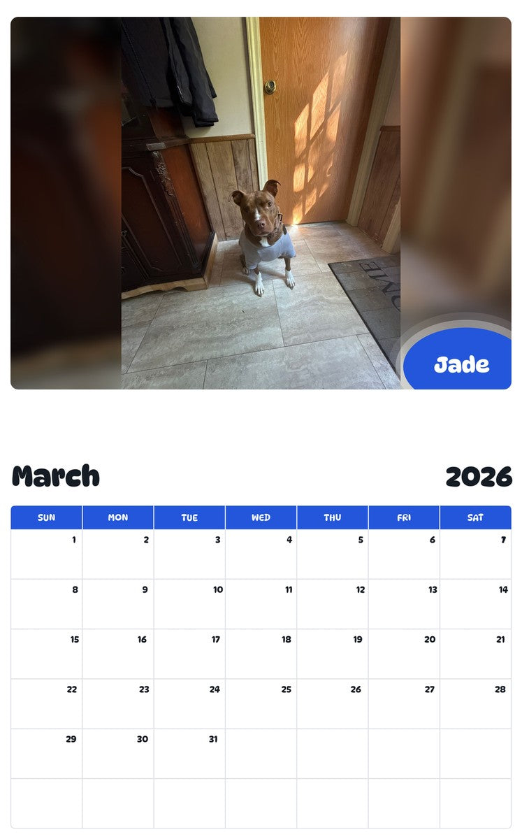 November 2025 - October 2026 Jade - Pawidols Pet Calendar