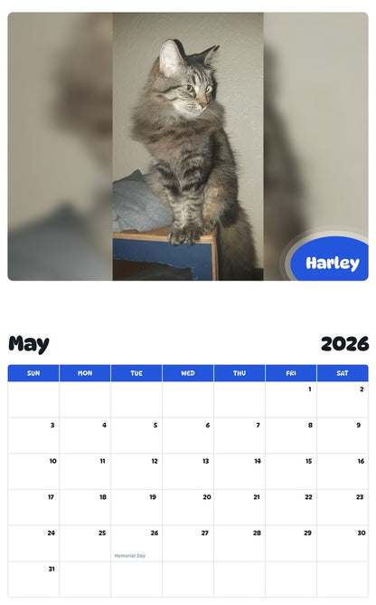 2026 - 2027 Harley - Pawidols Pet Calendar