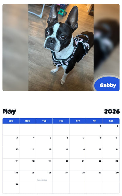 2026 - 2027 Gabby - Pawidols Pet Calendar