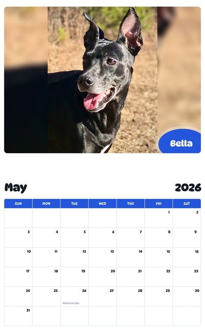 2026 - 2027 Bella - Pawidols Pet Calendar