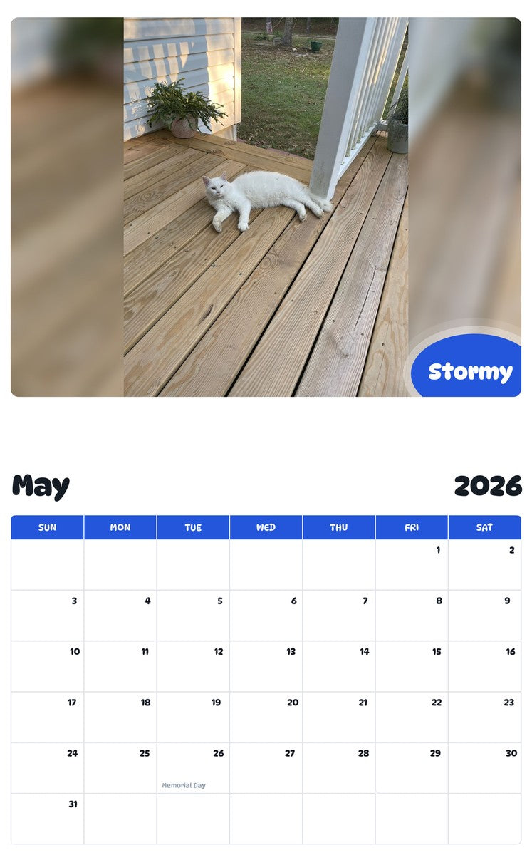 2026 - 2027 Stormy - Pawidols Pet Calendar
