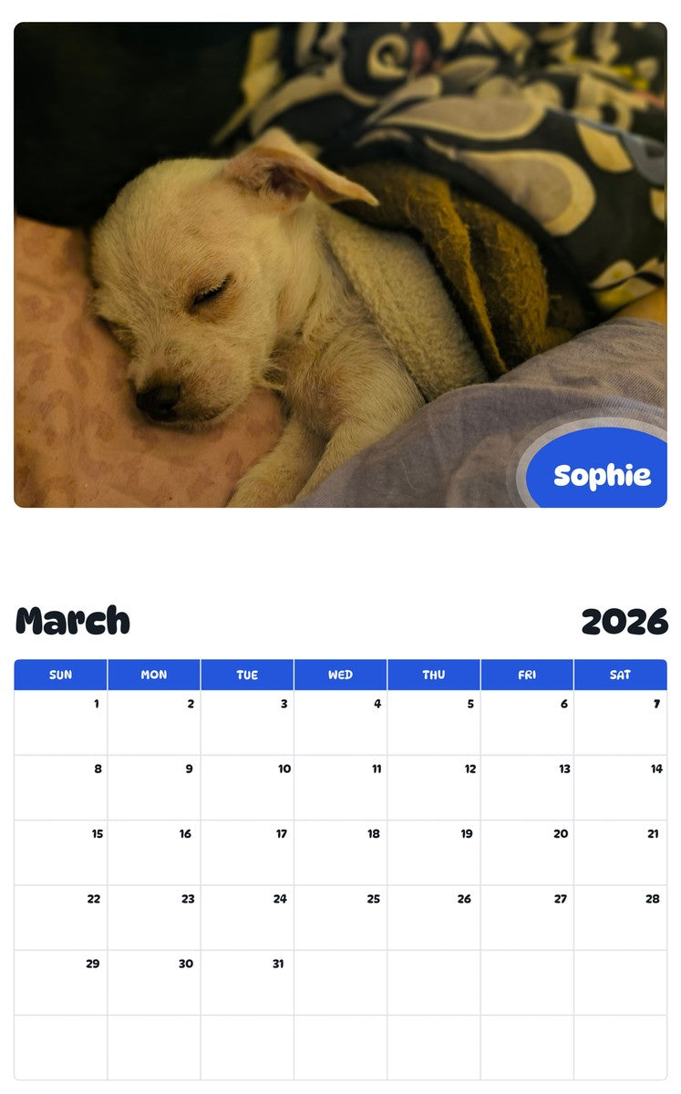 November 2025 - October 2026 Sophie - Pawidols Pet Calendar