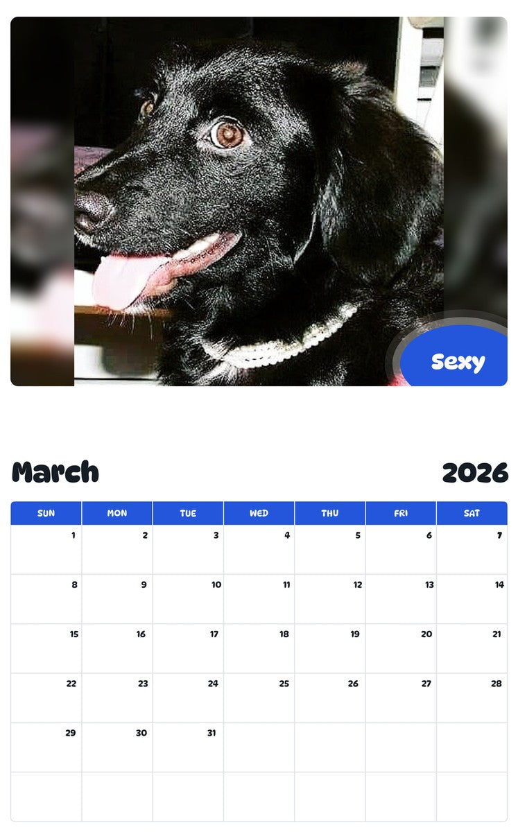 November 2025 - October 2026 Sexy - Pawidols Pet Calendar
