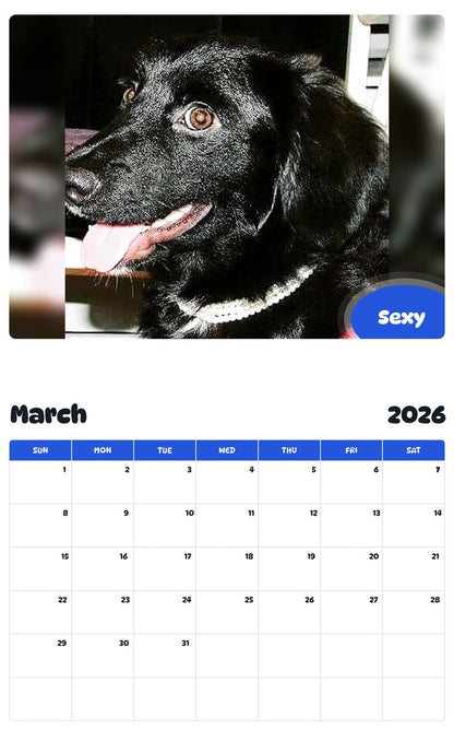 November 2025 - October 2026 Sexy - Pawidols Pet Calendar