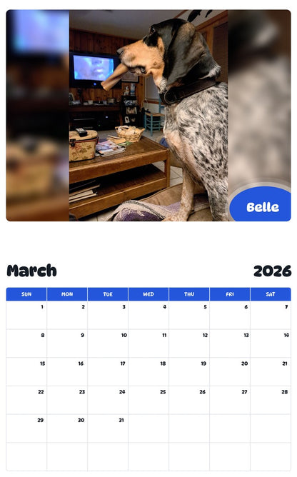 November 2025 - October 2026 Belle - Pawidols Pet Calendar