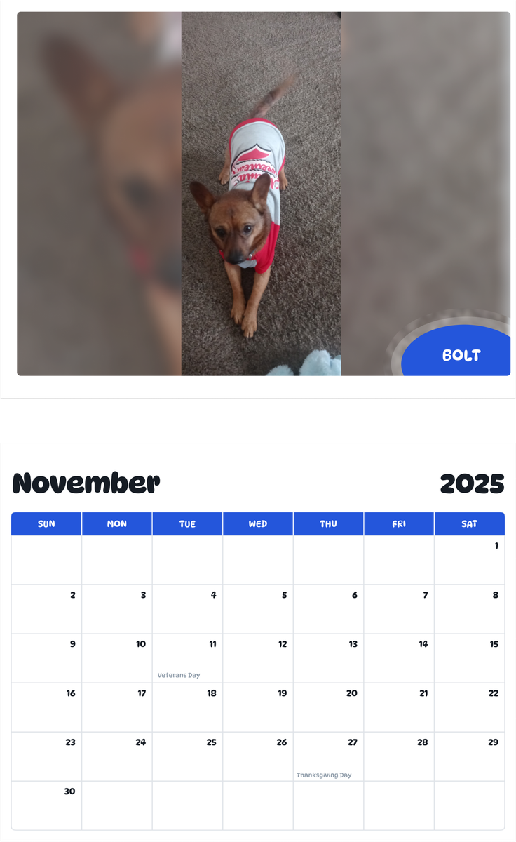 July 2025 - June 2026 BOLT - Pawidols Pet Calendar