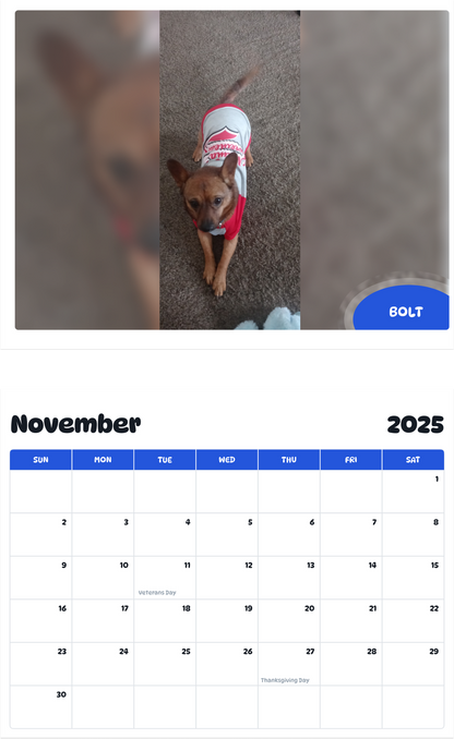 July 2025 - June 2026 BOLT - Pawidols Pet Calendar
