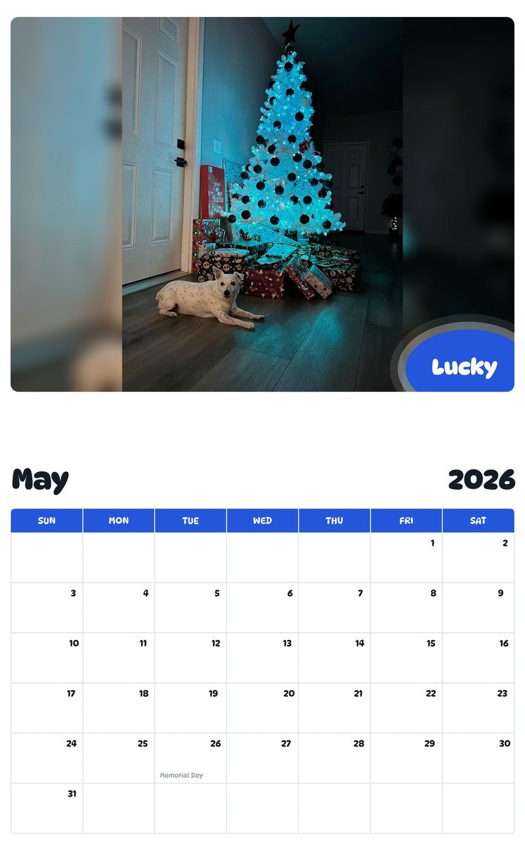 2026 - 2027 Lucky - Pawidols Pet Calendar