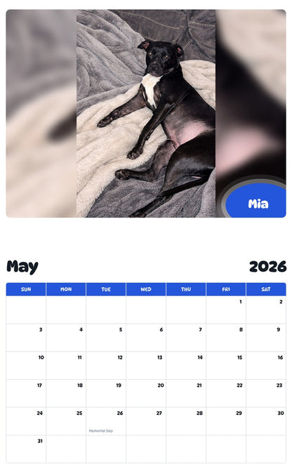 2026 - 2027 Mia - Pawidols Pet Calendar