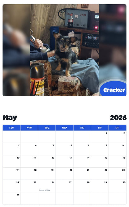 2026 - 2027 Cracker - Pawidols Pet Calendar