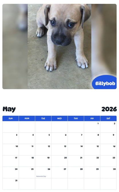 2026 - 2027 Billybob - Pawidols Pet Calendar