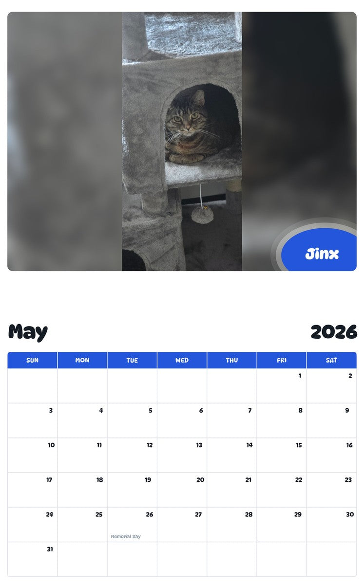 2026 - 2027 Jinx - Pawidols Pet Calendar